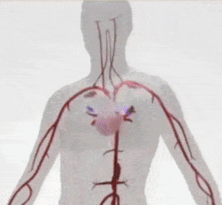 gif-2-1-1 gif-2-1-1
